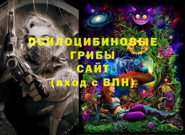 spice Алексин
