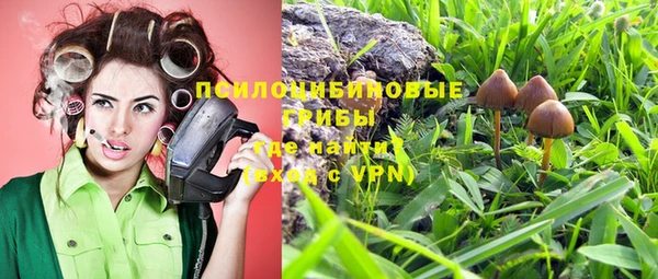 spice Алексеевка