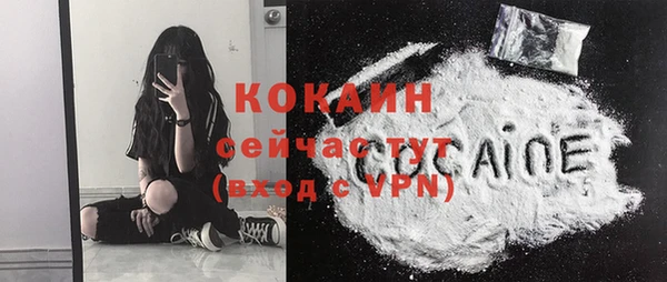 spice Алексин