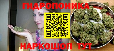 мяу мяу мука Гусиноозёрск