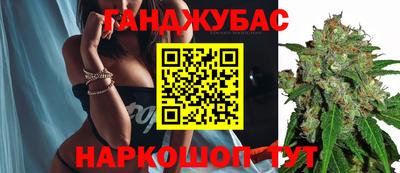 мяу мяу мука Гусиноозёрск