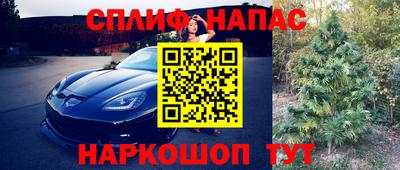 метадон Гусев